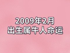 2009年2月出生属牛人命运