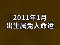 2011年1月出生属兔人命运(农历、爱情、事业运势解析)