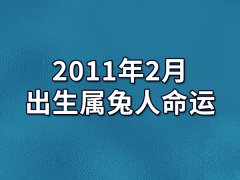 2011年2月出生属兔人命运(农历、爱情、事业运势解析)