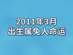 2011年3月出生属兔人命运(农历、爱情、事业运势解析)