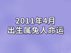 2011年4月出生属兔人命运(农历、爱情、事业运势解析)