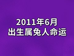 2011年6月出生属兔人命运(农历、爱情、事业运势解析)