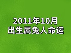 2011年10月出生属兔人命运(农历、爱情、事业运势解析)