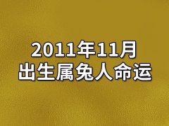 2011年11月出生属兔人命运(农历、爱情、事业运势解析)