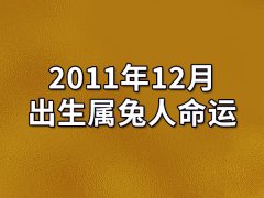 2011年12月出生属兔人命运(农历、爱情、事业运势解析)