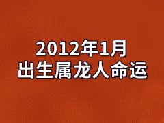 2012年1月出生属龙人命运