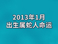 2013年1月出生属蛇人命运