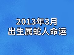 2013年3月出生属蛇人命运