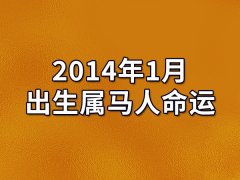 2014年1月出生属马人命运