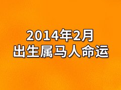 2014年2月出生属马人命运