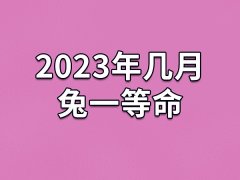 2023年几月兔一等命：二