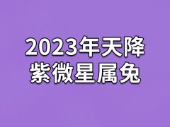 2023年天降紫微星属兔-命带紫微星的属相有属兔吗