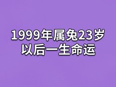 1999年属兔23岁以后一生命运：很不错(事业有贵人相助)