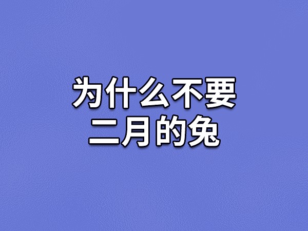 为什么不要二月的兔-二月出生的属兔人命运如何