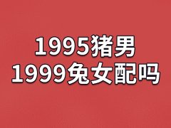 1995猪男1999兔女配吗：上等婚配(婚后甜蜜)