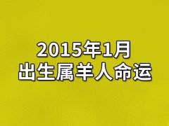 2015年1月出生属羊人命运(农历、爱情、事业运势解析)