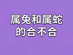 属兔和属蛇的合不合：比较相合(共勉互助)