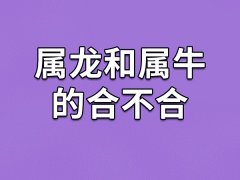 属龙和属牛的合不合-属龙