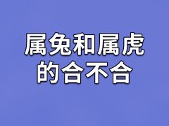 属兔和属虎的合不合-属兔