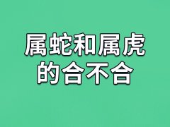 属蛇和属虎的合不合-属蛇