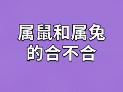 属鼠和属兔的合不合-属鼠和属兔相配吗