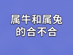 属牛和属兔的合不合-属牛和属兔相配吗