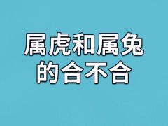 属虎和属兔的合不合-属虎和属兔相配吗