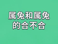 属兔和属兔的合不合-属兔和属兔相配吗