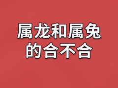 属龙和属兔的合不合-属龙和属兔相配吗