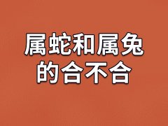 属蛇和属兔的合不合-属蛇和属兔相配吗