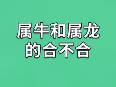 属牛和属龙的合不合-属牛