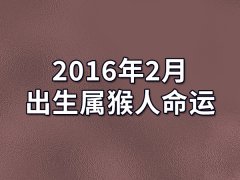 2016年2月出生属猴人命运