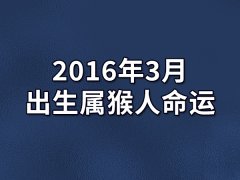 2016年3月出生属猴人命运