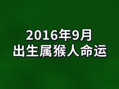 2016年9月出生属猴人命运