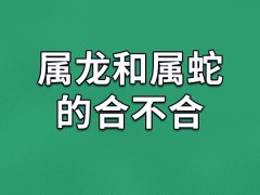 属龙和属蛇的合不合-属龙