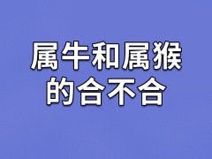 属牛和属猴的合不合-属牛