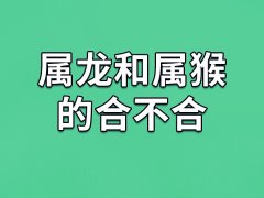 属龙和属猴的合不合-属龙