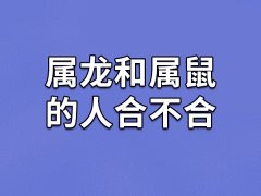 属龙和属鼠的人合不合-属