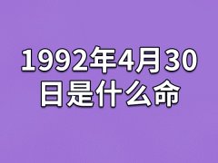 1992年4月30日是什么命：命