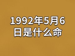 1992年5月6日是什么命：足智多谋(容易冲动)