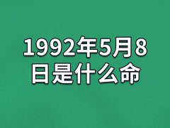 1992年5月8日是什么命：命