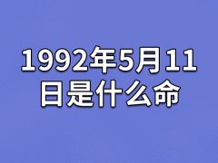 1992年5月11日是什么命：运