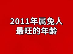 2011年属兔人最旺的年龄:25岁/30岁/40岁