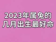 2023年属兔的几月出生最