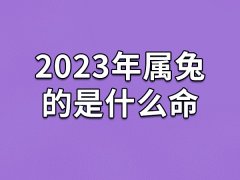 2023年属兔的是什么命：水兔之命(能有贵人相助)