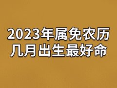 2023年属免农历几月出生最好命：四月/六月/七月