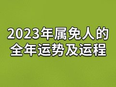 2023年属免人的全年运势及运程-属兔人2023年的运势如何