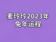 麦玲玲2023年兔年运程：金匮入命(财禄增加)