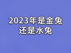 2023年是金兔还是水兔-23年出生的兔宝宝五行属什么