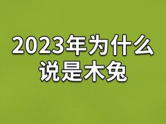 2023年为什么说是木兔-2023年出生的属兔人五行是什么